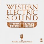 RÔZNI INTERPRETI - ABC Records - Voice II (HD CD)