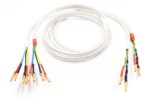 Cable4 Clear SPEAKER+ SBW  2/4 – Obrázok 2