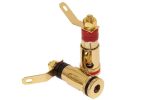 Dynavox Speaker Gold Terminal