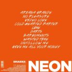 THE YOUNIVERSE - Neon (LP) – Obrázok 2