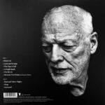DAVID GILMOUR - Luck and strange (LP) sea blue vinyl – Obrázok 2