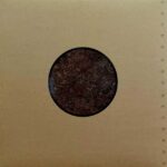 SWANS - Birthing (3LP) + DVD + poster – Obrázok 3